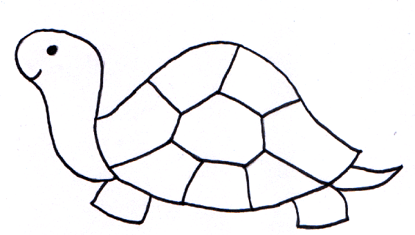 malvorlage schildkröte